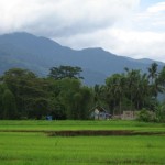 Building from a distance