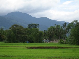 Building from a distance